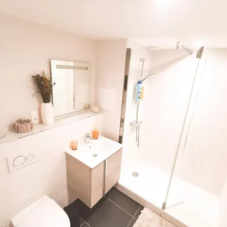Appartement Cosy En Hypercentre - Le Petit Jules Dijon Exterior foto