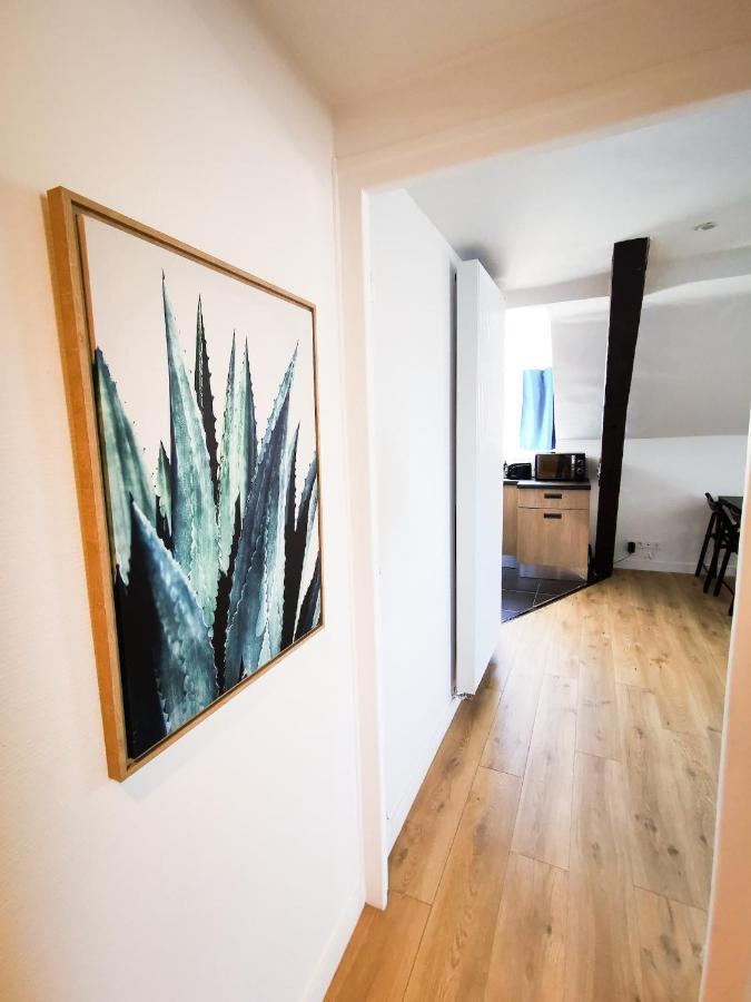 Cosy En Hypercentre - Le Petit Jules Apartment Dijon